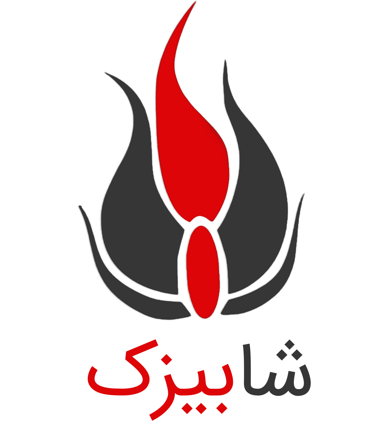 شابیزک