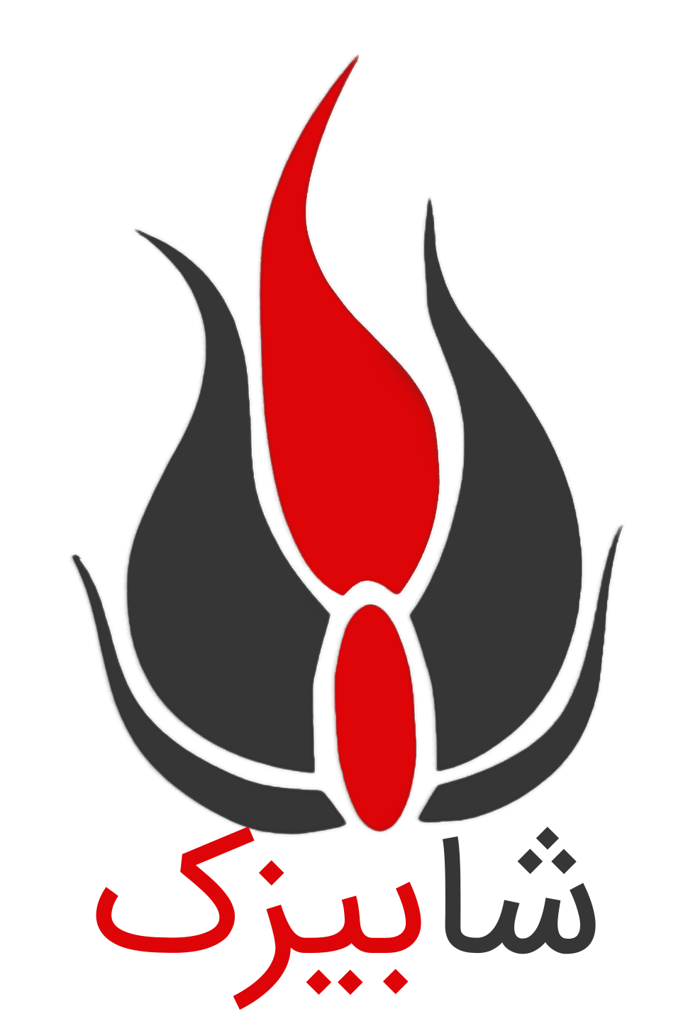 شابیزک