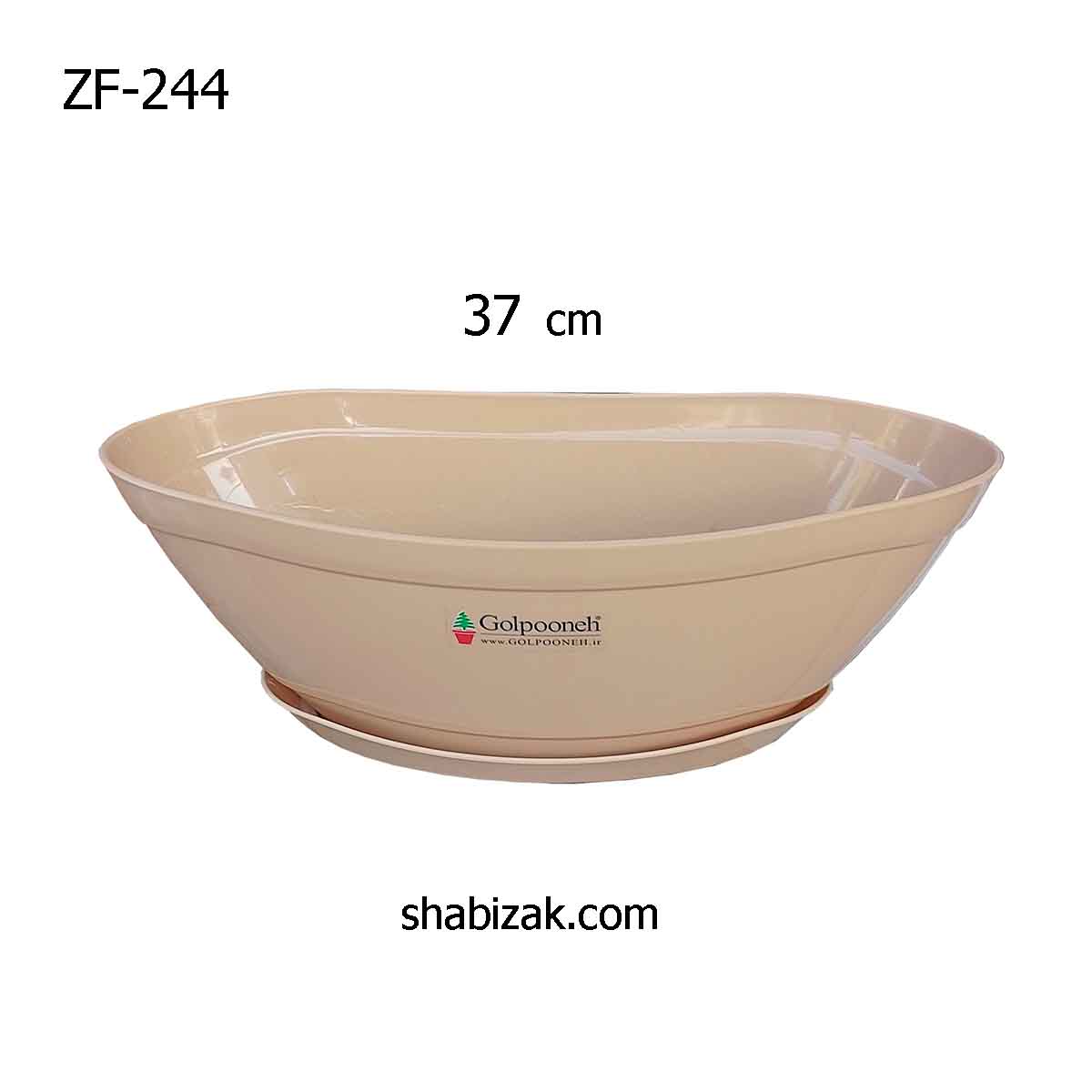 244